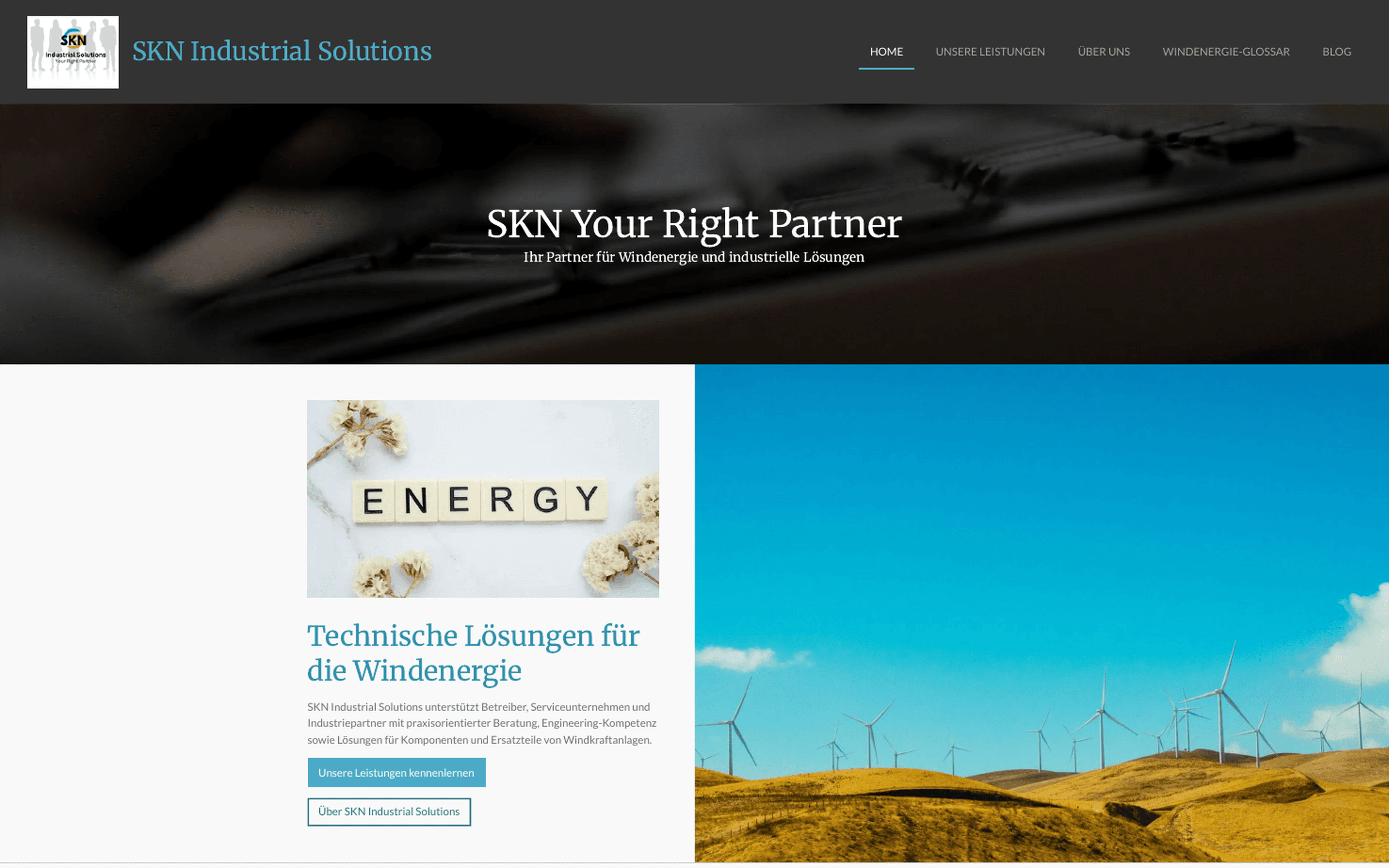 SKN Industrial Solutions: alte Website